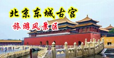 御姐AAAAA黄片中国北京-东城古宫旅游风景区